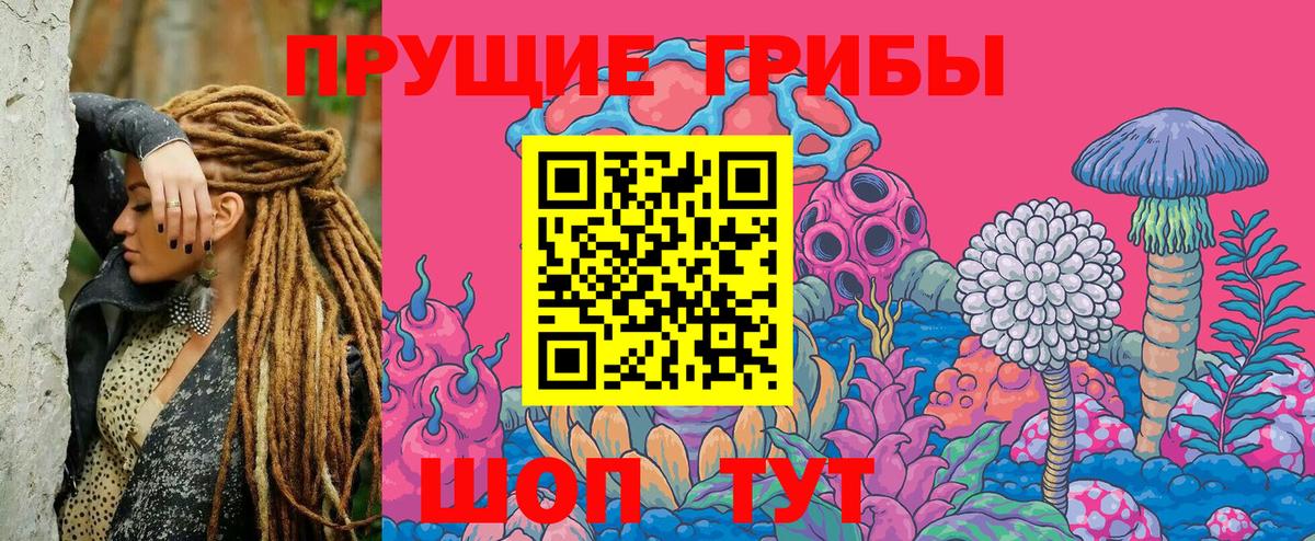 Псилоцибиновые грибы мухоморы Дятьково